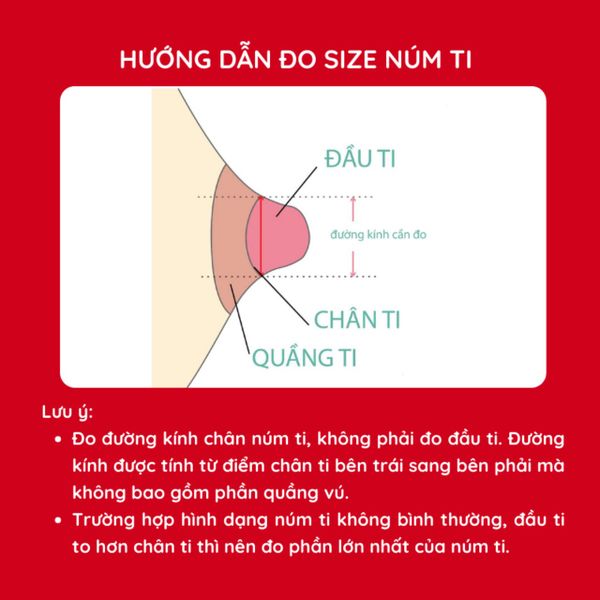 Minh họa đo đường kính chân ti